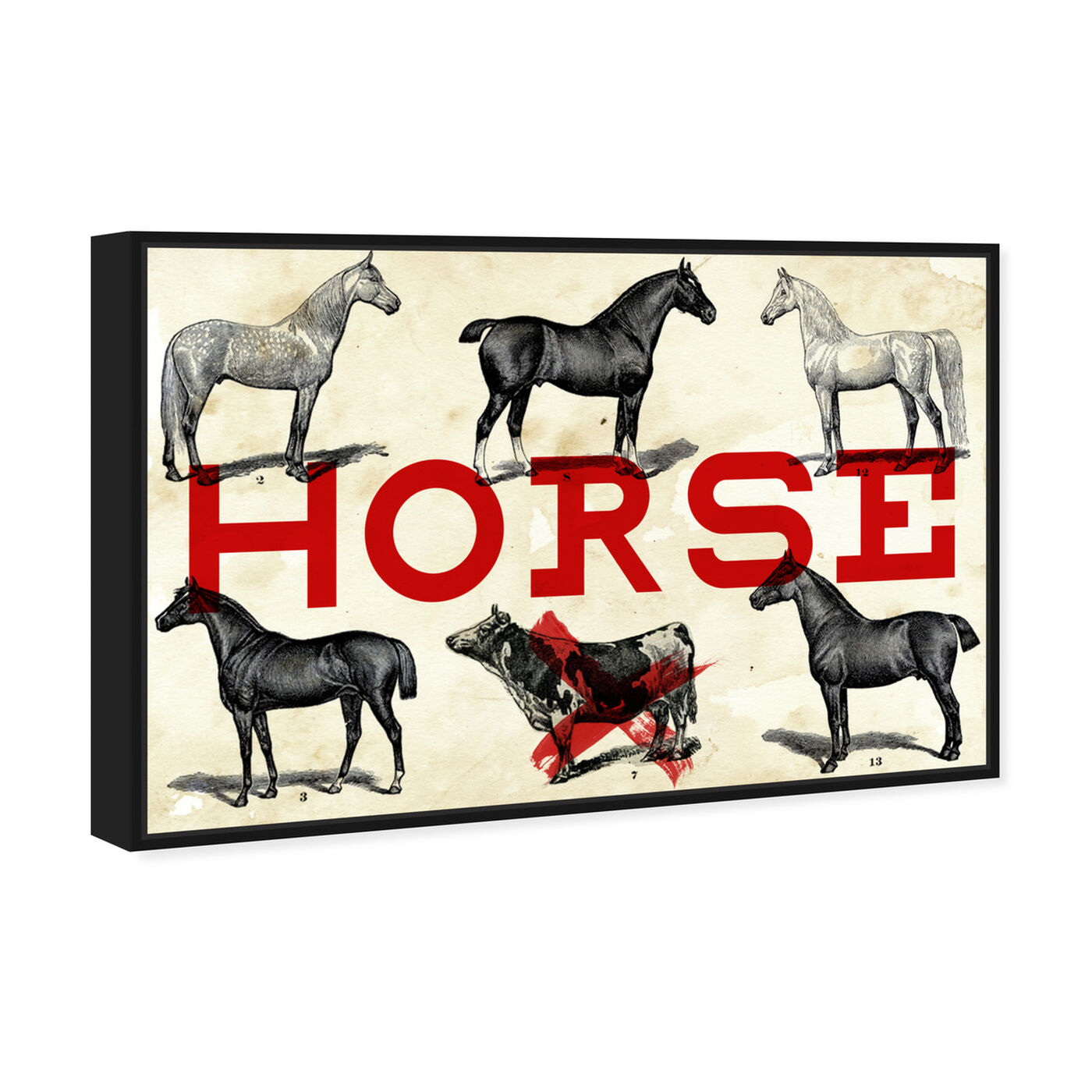 Angled view of Horse featuring animals and farm animals art.