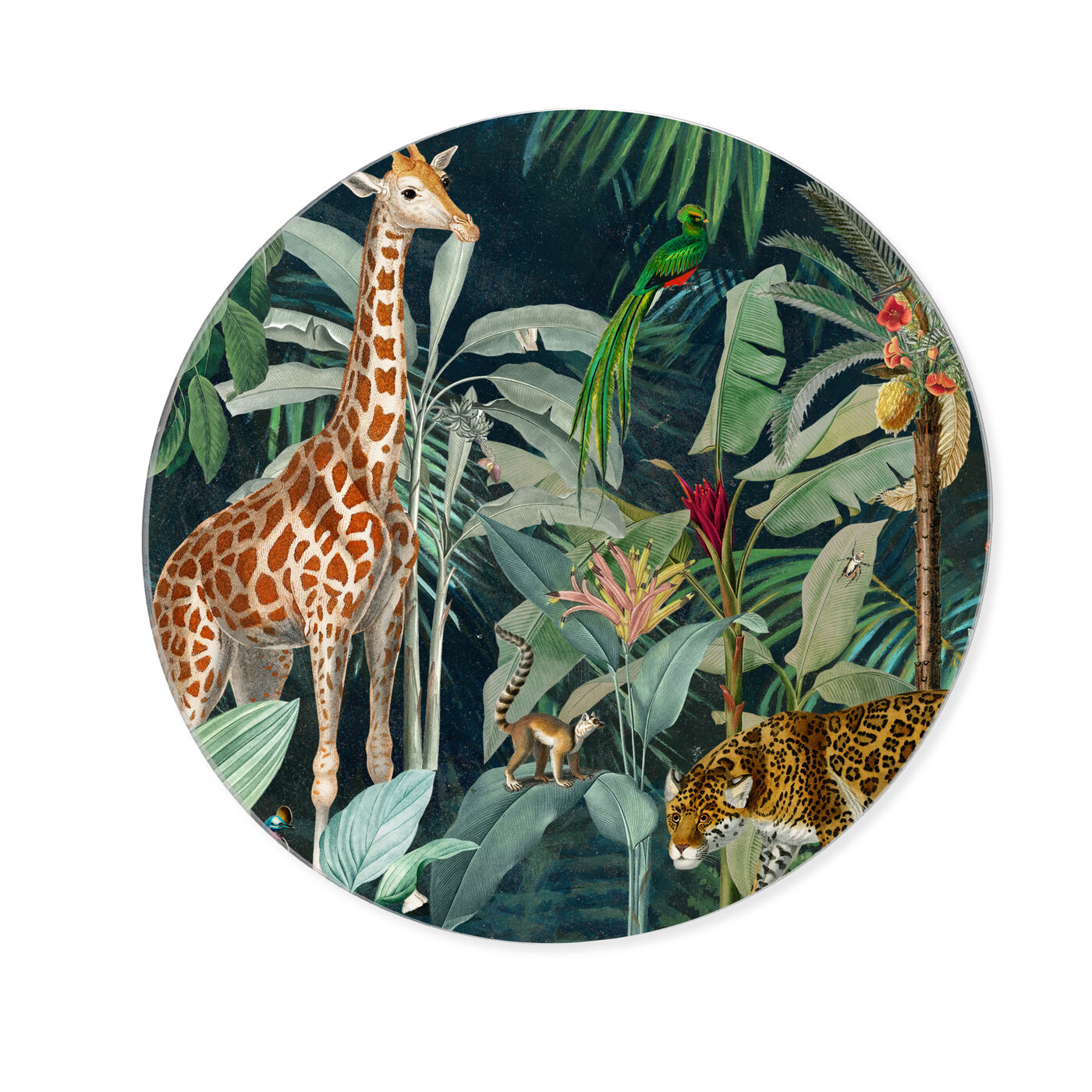 Jungle Reves - Round Acrylic Art