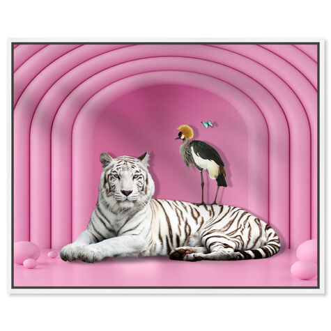Vibrant Pink Tiger