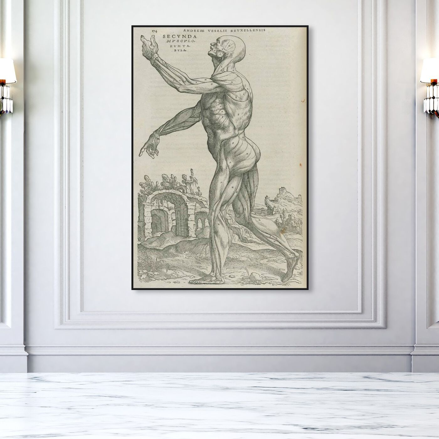 Hanging view of Vesalius V - The Art Cabinet featuring classic and figurative and nudes art.