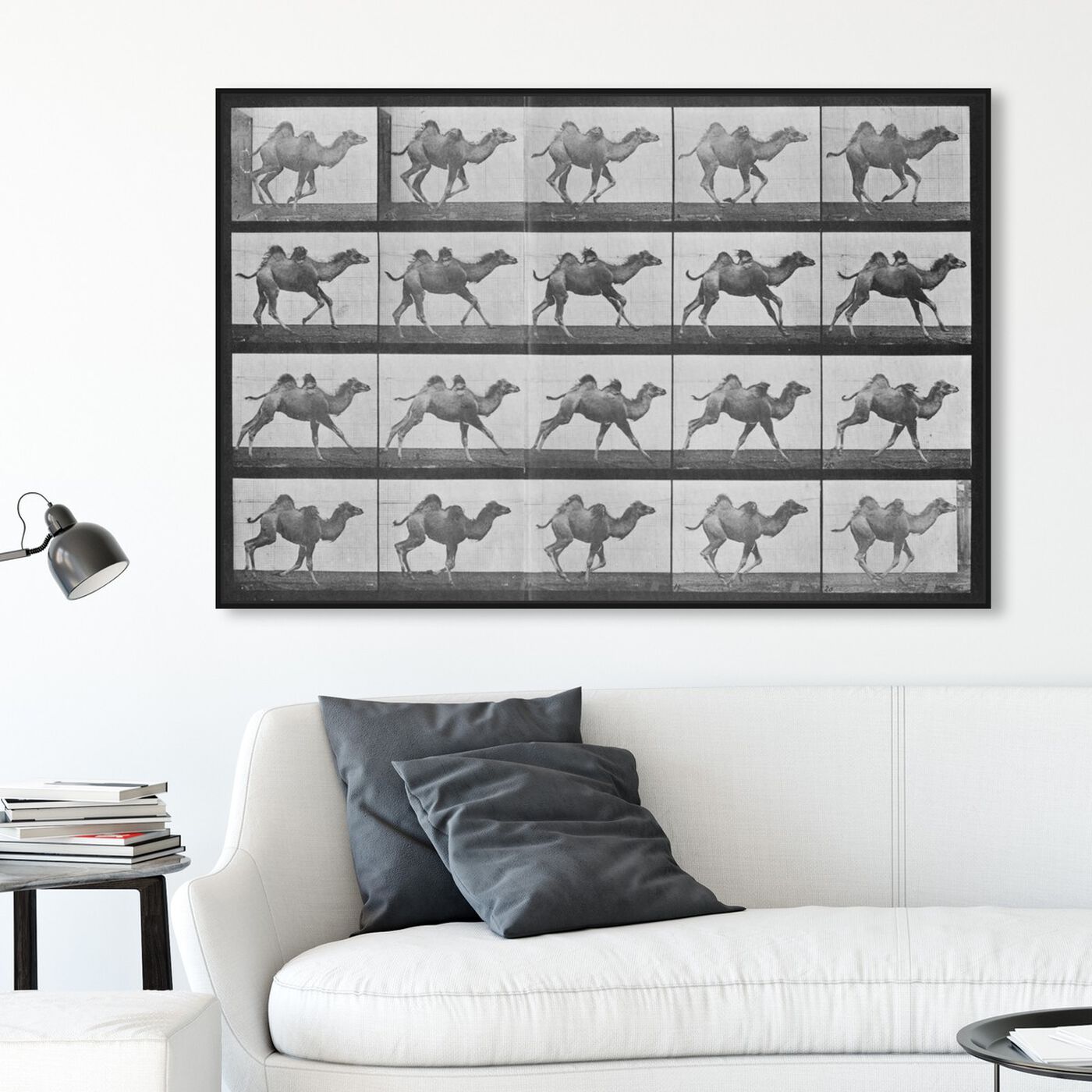 Hanging view of Camels in Motion featuring animals and zoo and wild animals art.