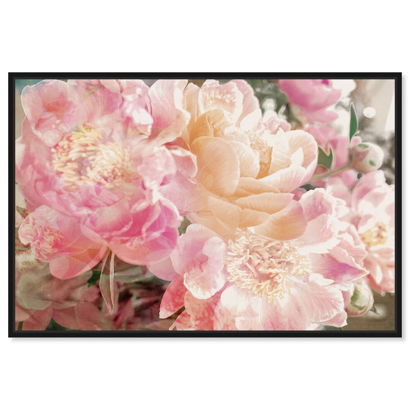 Front view of Peonies Know featuring floral and botanical and florals art.