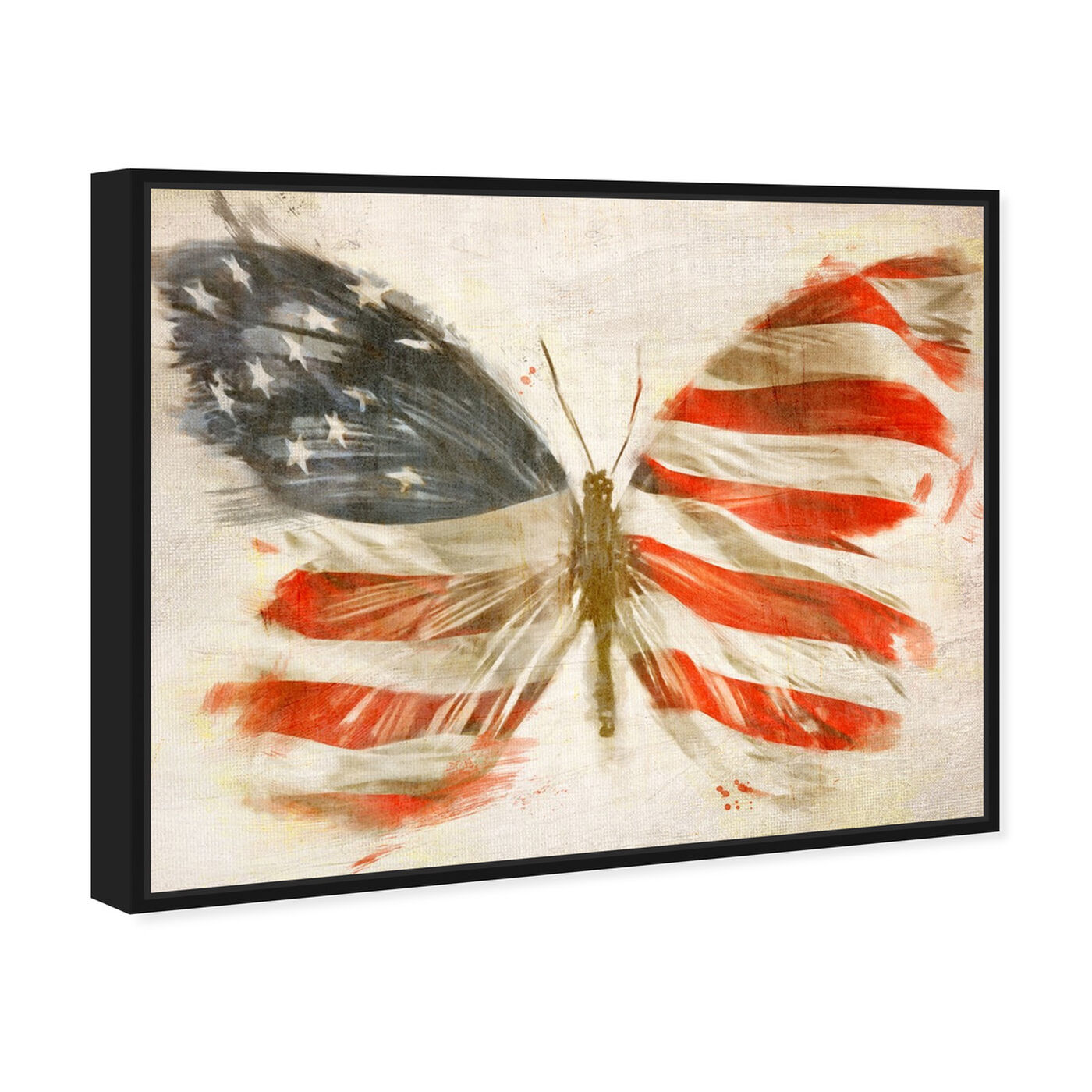Angled view of American Butterfly featuring maps and flags and american countries flags art.