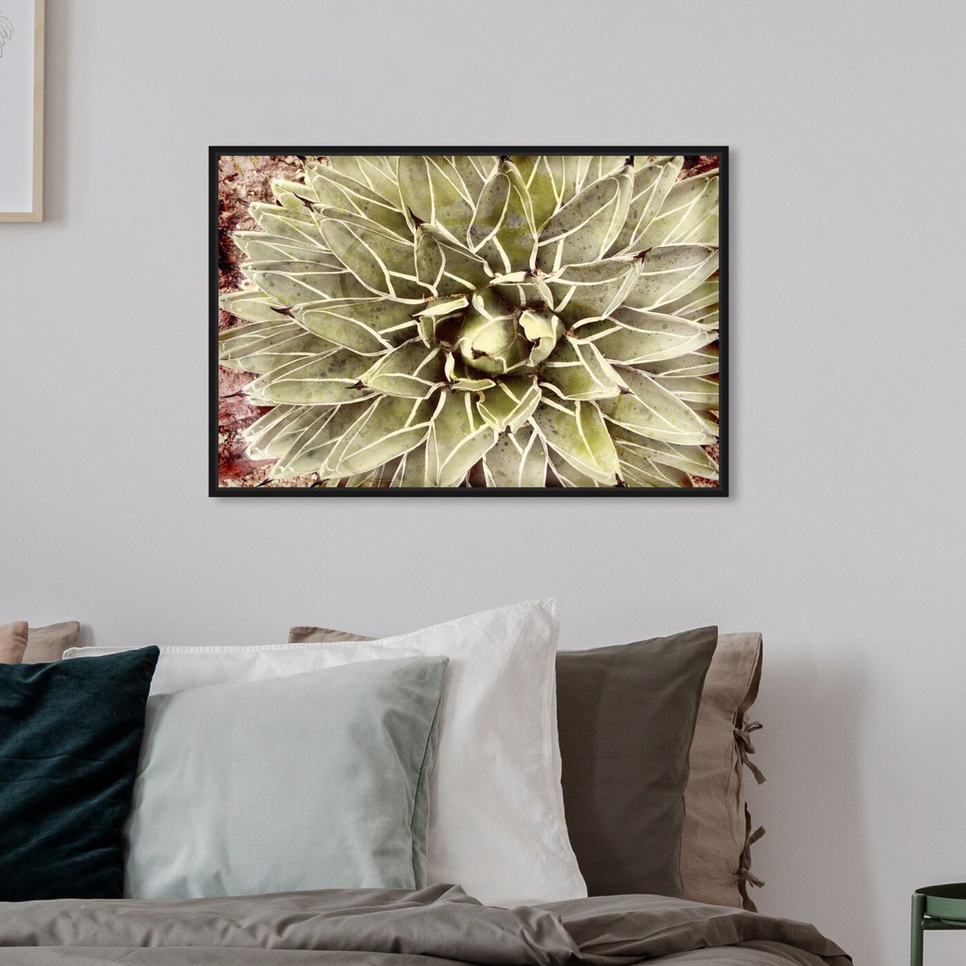 Hanging view of Cactus Flower featuring floral and botanical and botanicals art.
