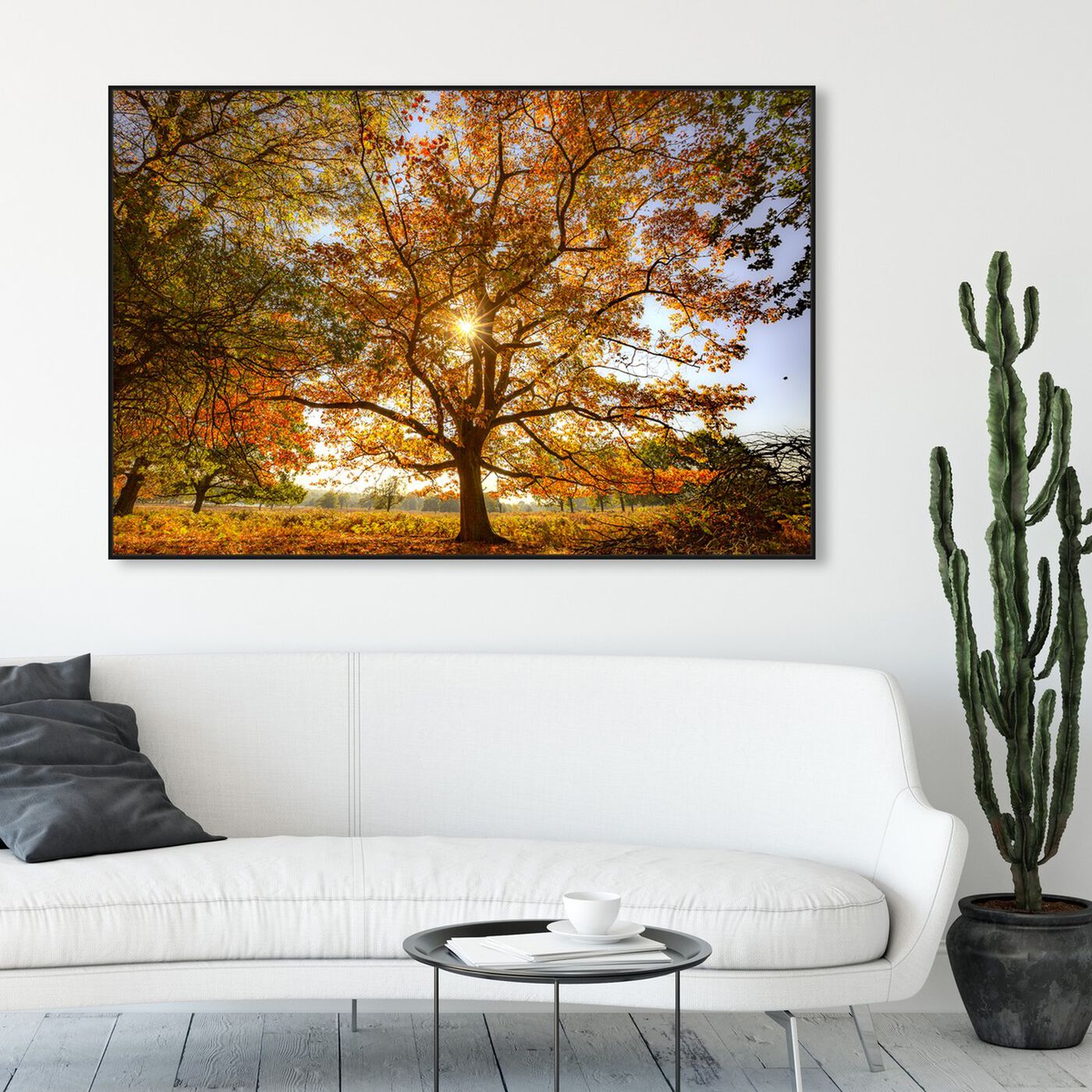 Hanging view of Curro Cardenal - Autumn Wisdom tree featuring nature and landscape and forest landscapes art.