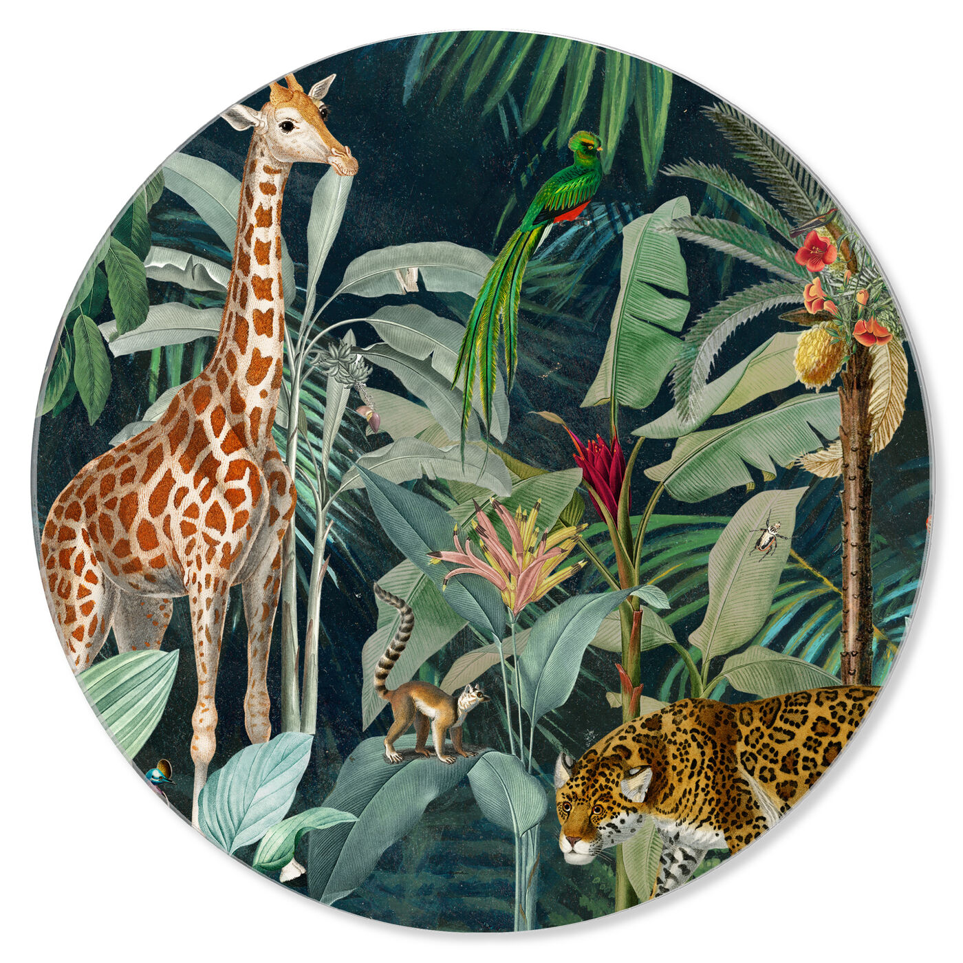 Jungle Reves - Round Acrylic Art