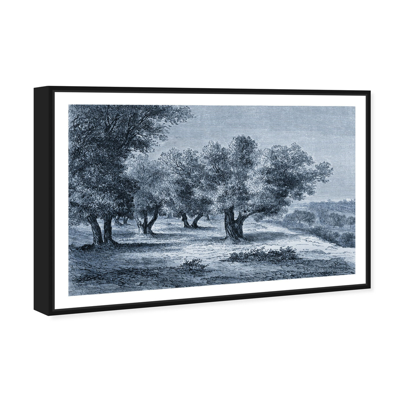 Angled view of Olive Grove 1860 Engraving featuring nature and landscape and forest landscapes art.