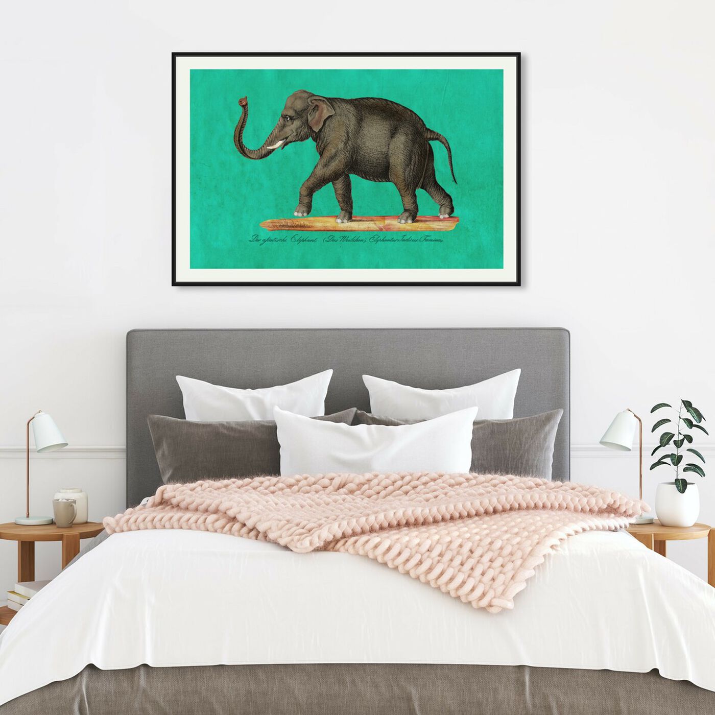 Hanging view of Elephant II featuring animals and zoo and wild animals art.