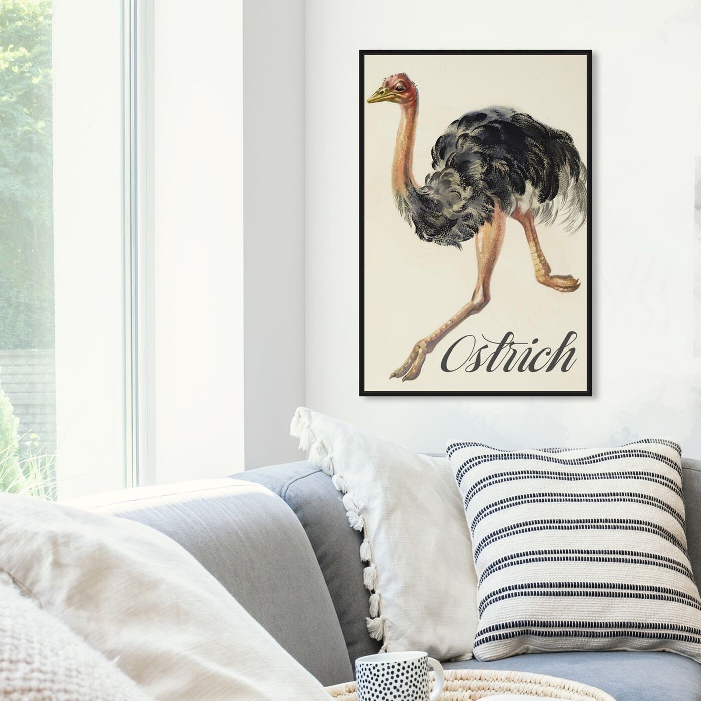 Hanging view of Ostrich featuring animals and birds art.