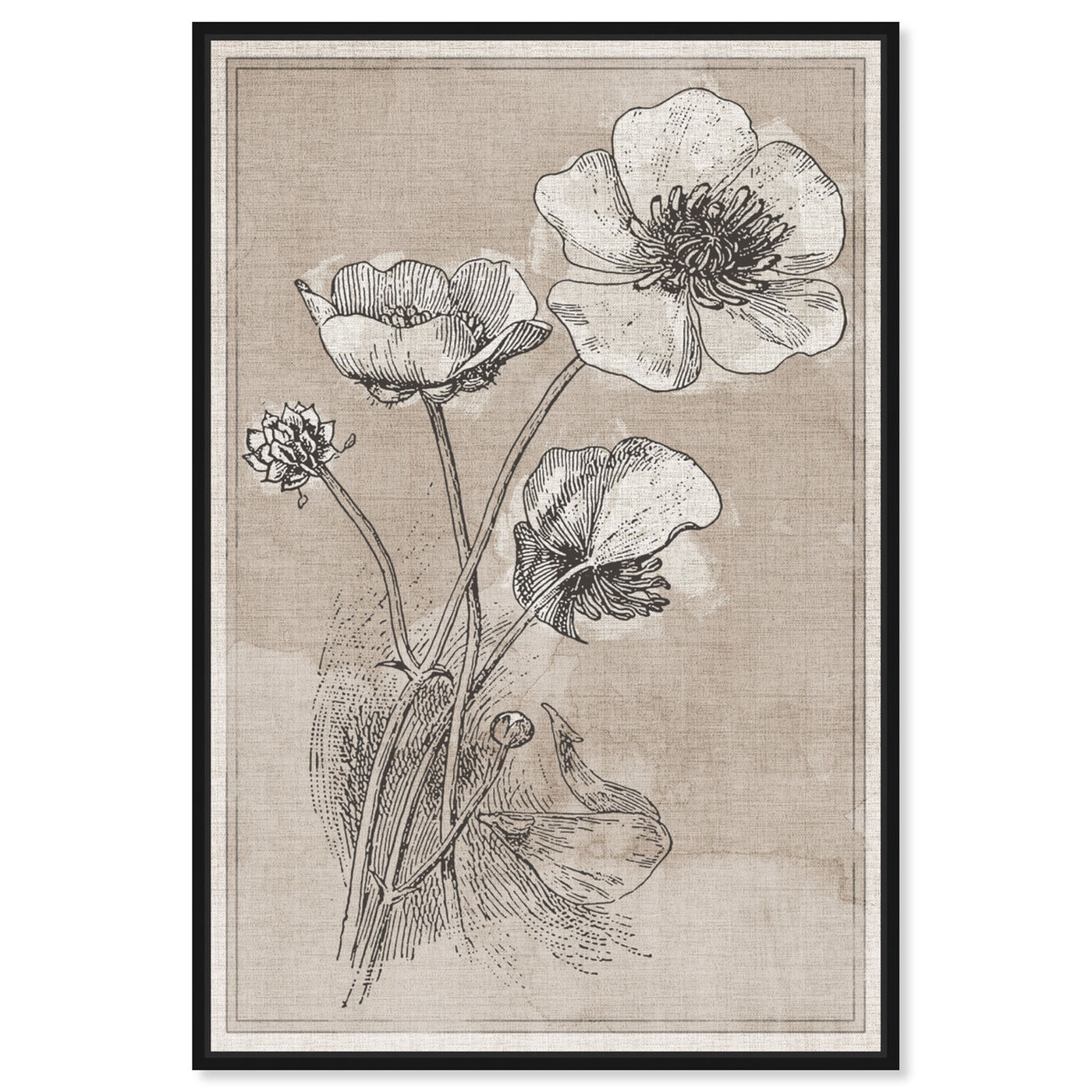 Front view of Poppies on Linen featuring floral and botanical and florals art.