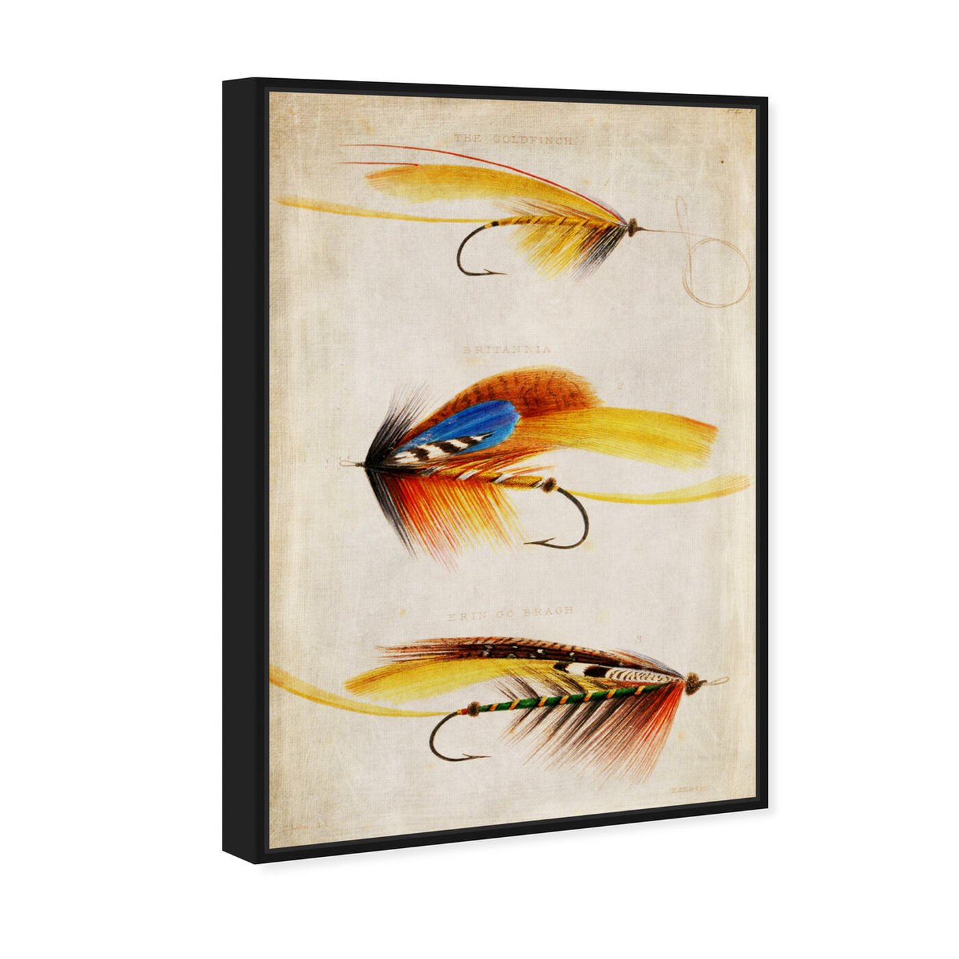 Angled view of Goldfinch featuring entertainment and hobbies and fishing art.