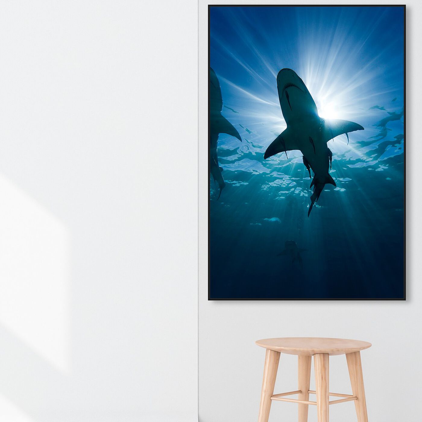 Hanging view of Lemon Shark by David Fleetham featuring nautical and coastal and marine life art.