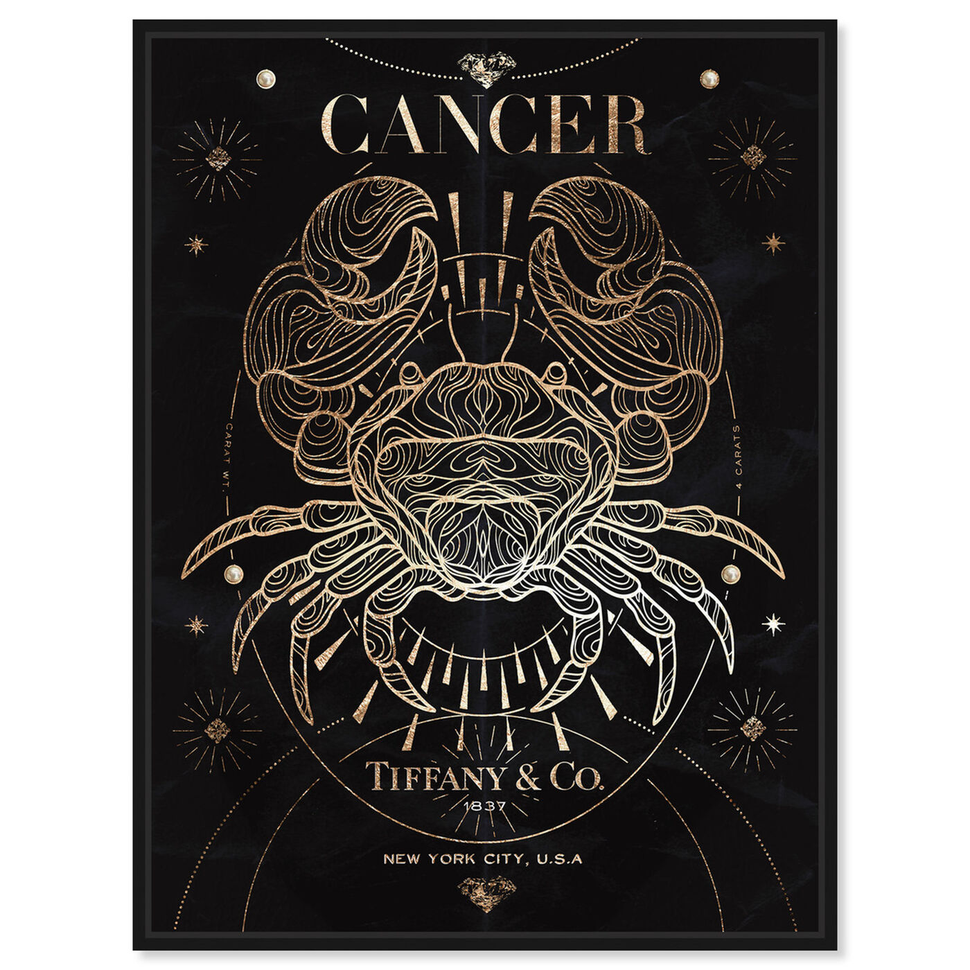 Front view of Mémoire d'un Cancer featuring fashion and glam and lifestyle art.