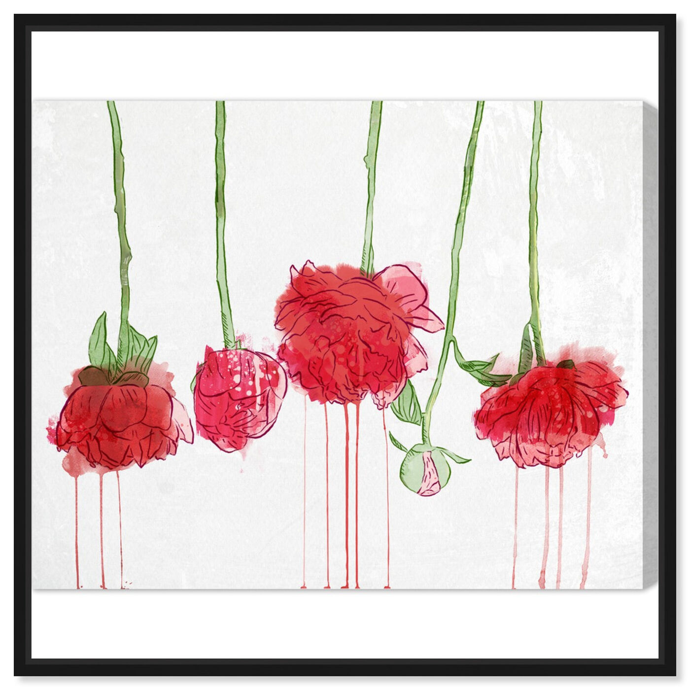 Front view of Drying Carnations featuring floral and botanical and florals art.