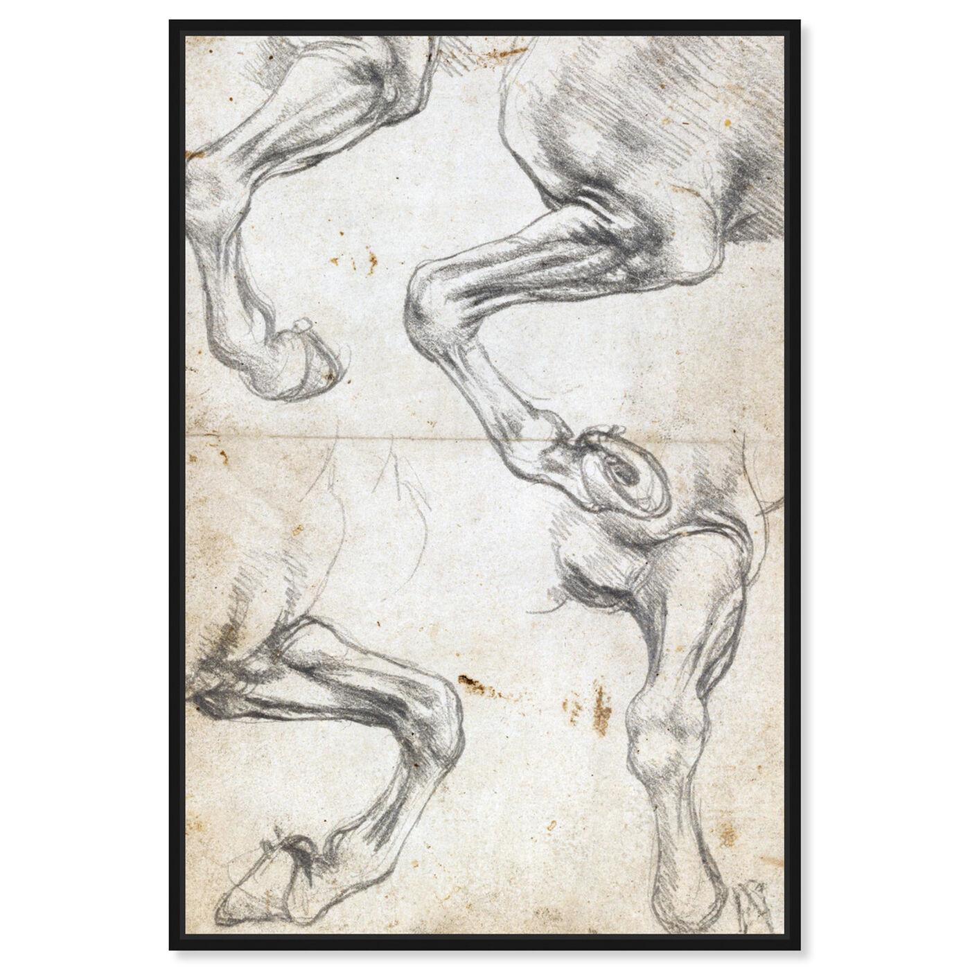 Front view of Da Vinci - Horse Studies I featuring animals and farm animals art.