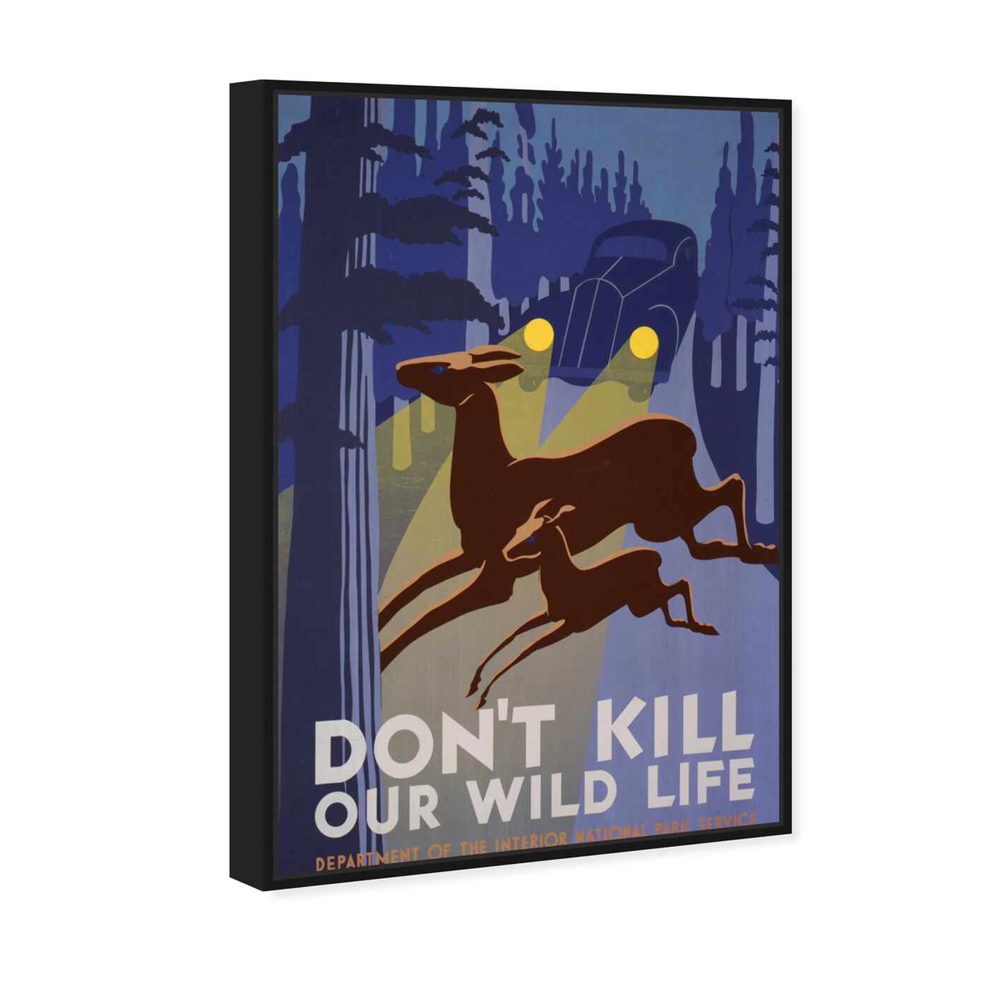 Angled view of Don't Kill Our Wild Life featuring advertising and posters art.