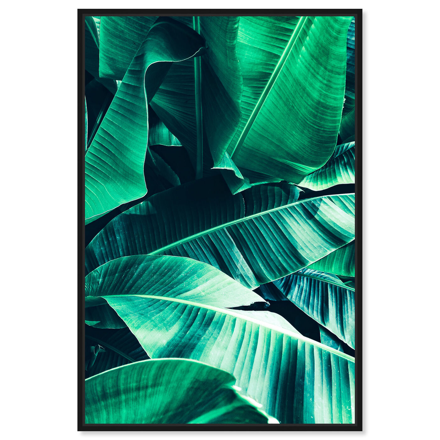 Front view of Banana Leaf Icon featuring floral and botanical and botanicals art.