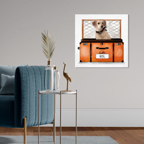 Orange Traveler - Custom Pet Portrait