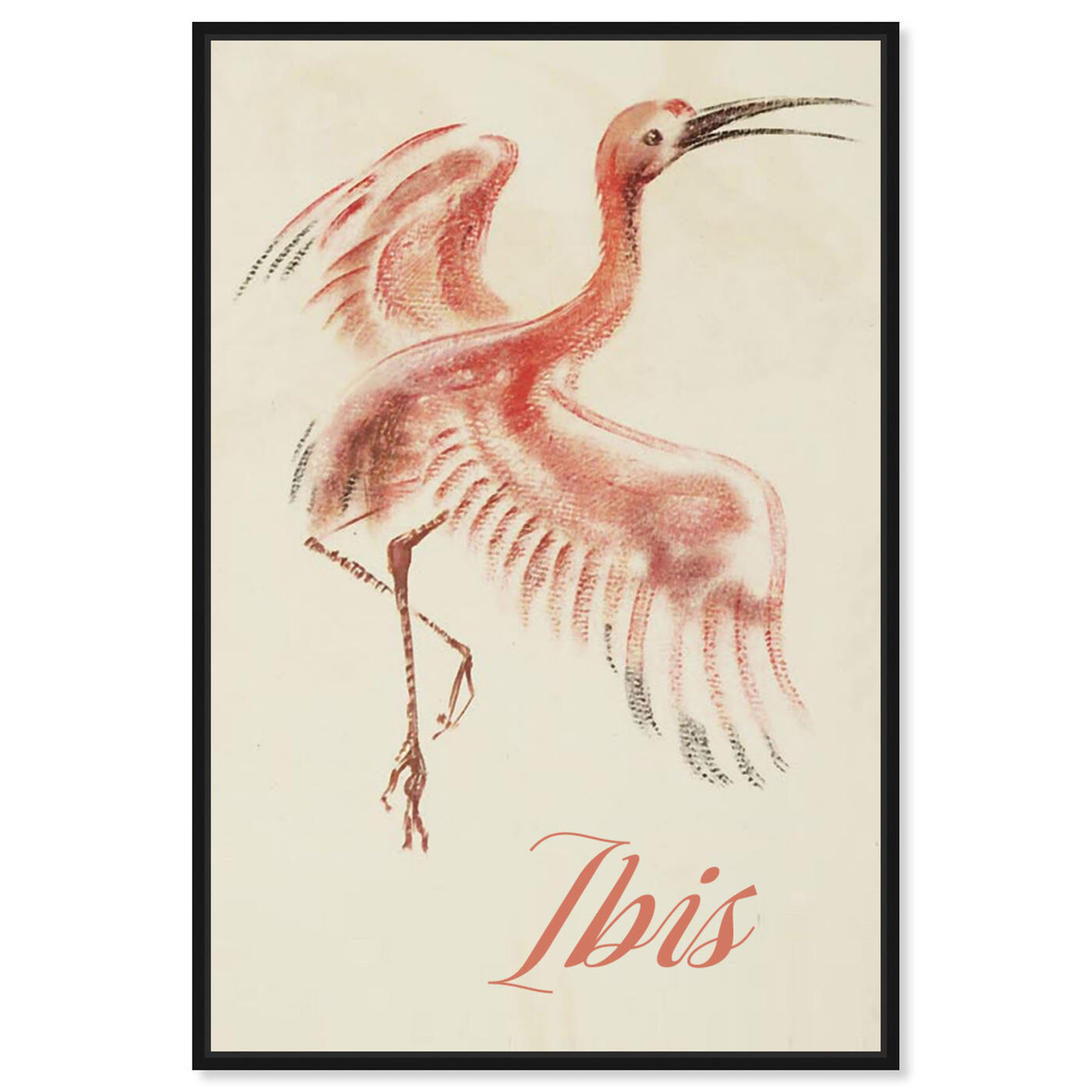 Front view of Ibis featuring animals and birds art.
