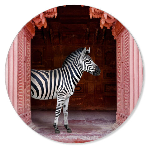 Zebras Apartment is Coral Pink - Round Acrylic Art