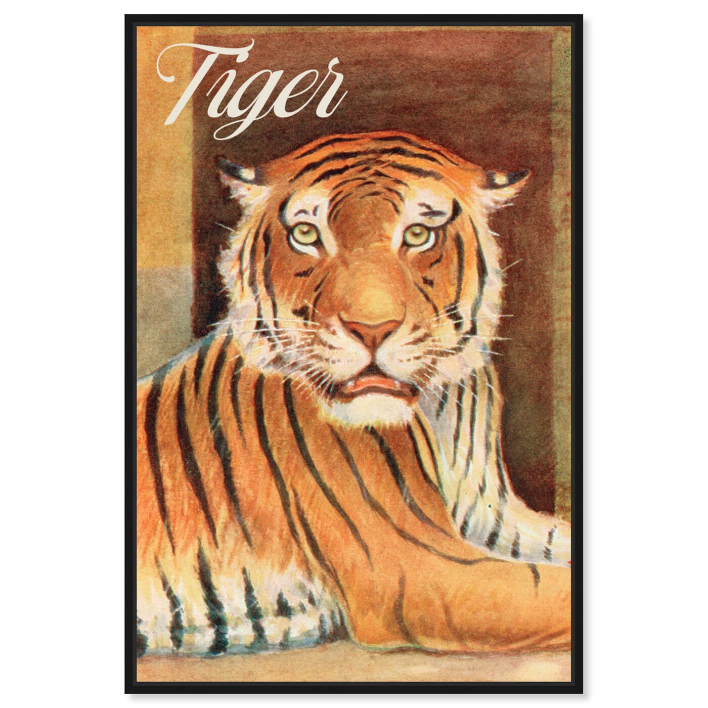 Front view of Tiger featuring animals and felines art.