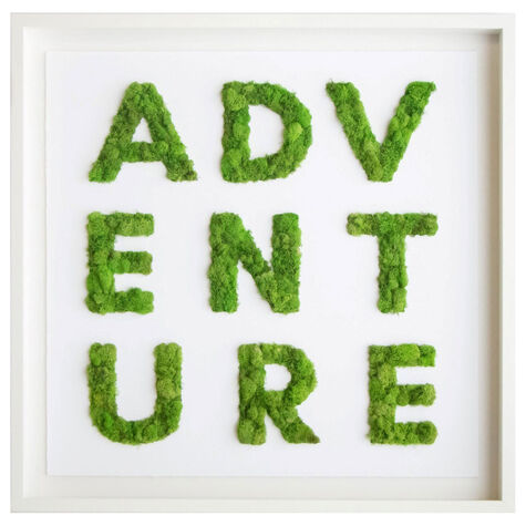 Adventure Moss