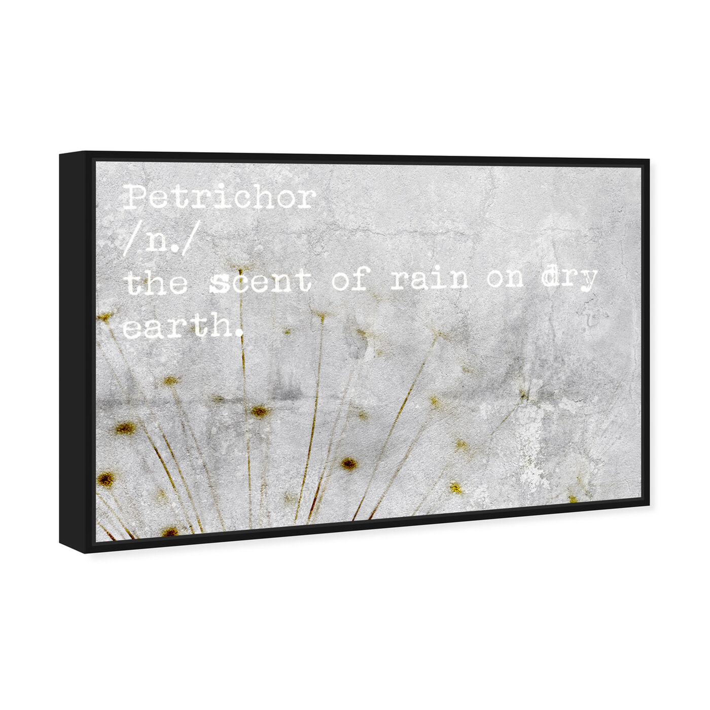 Angled view of Petrichor featuring typography and quotes and quotes and sayings art.