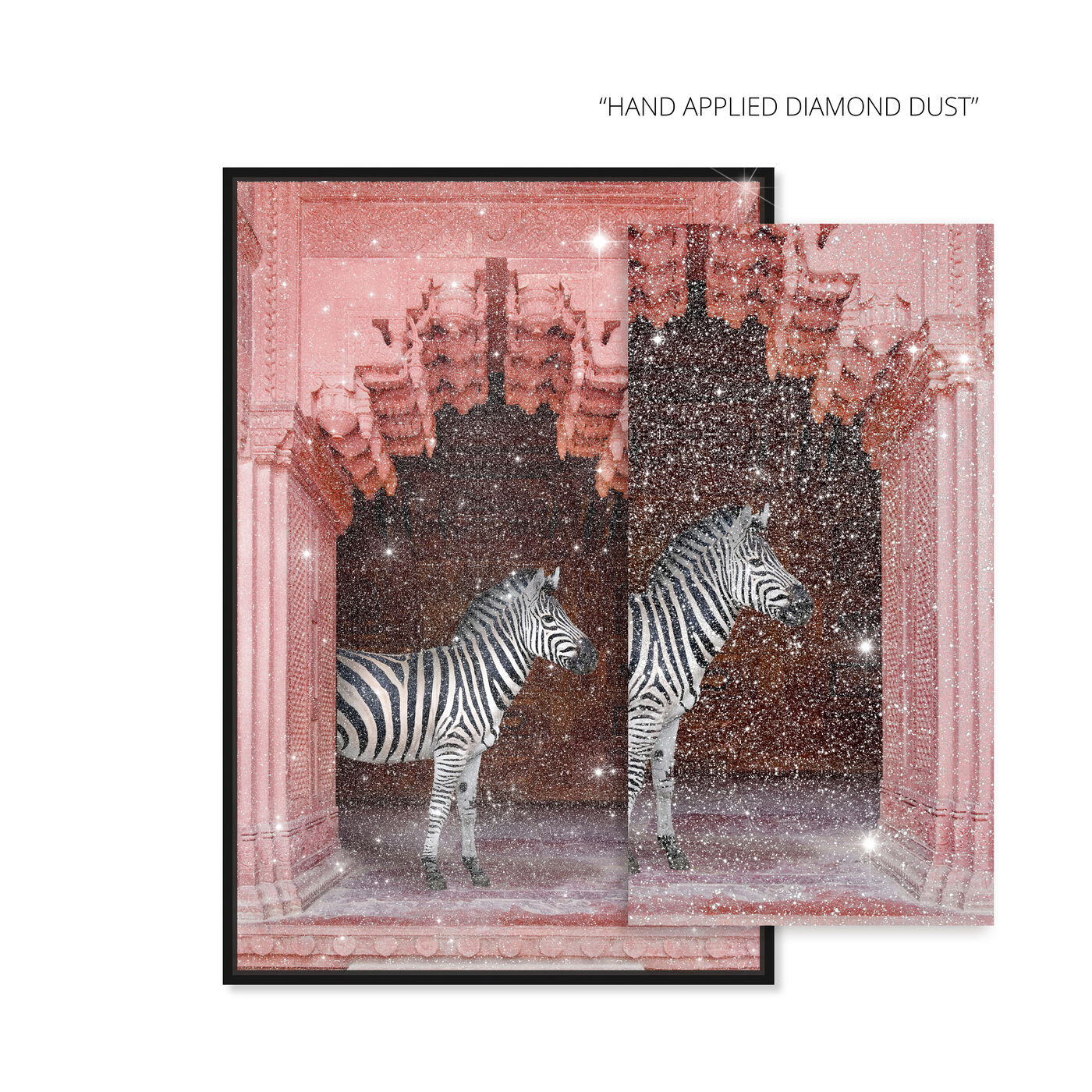 Zebras Apartment is Coral Pink: Diamond Dust™