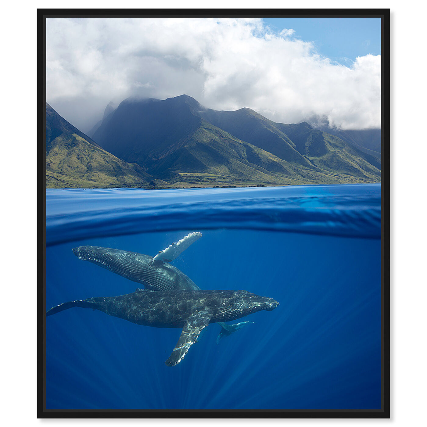 Front view of Humpback Whales and Mountains by David Fleetham featuring nautical and coastal and marine life art.
