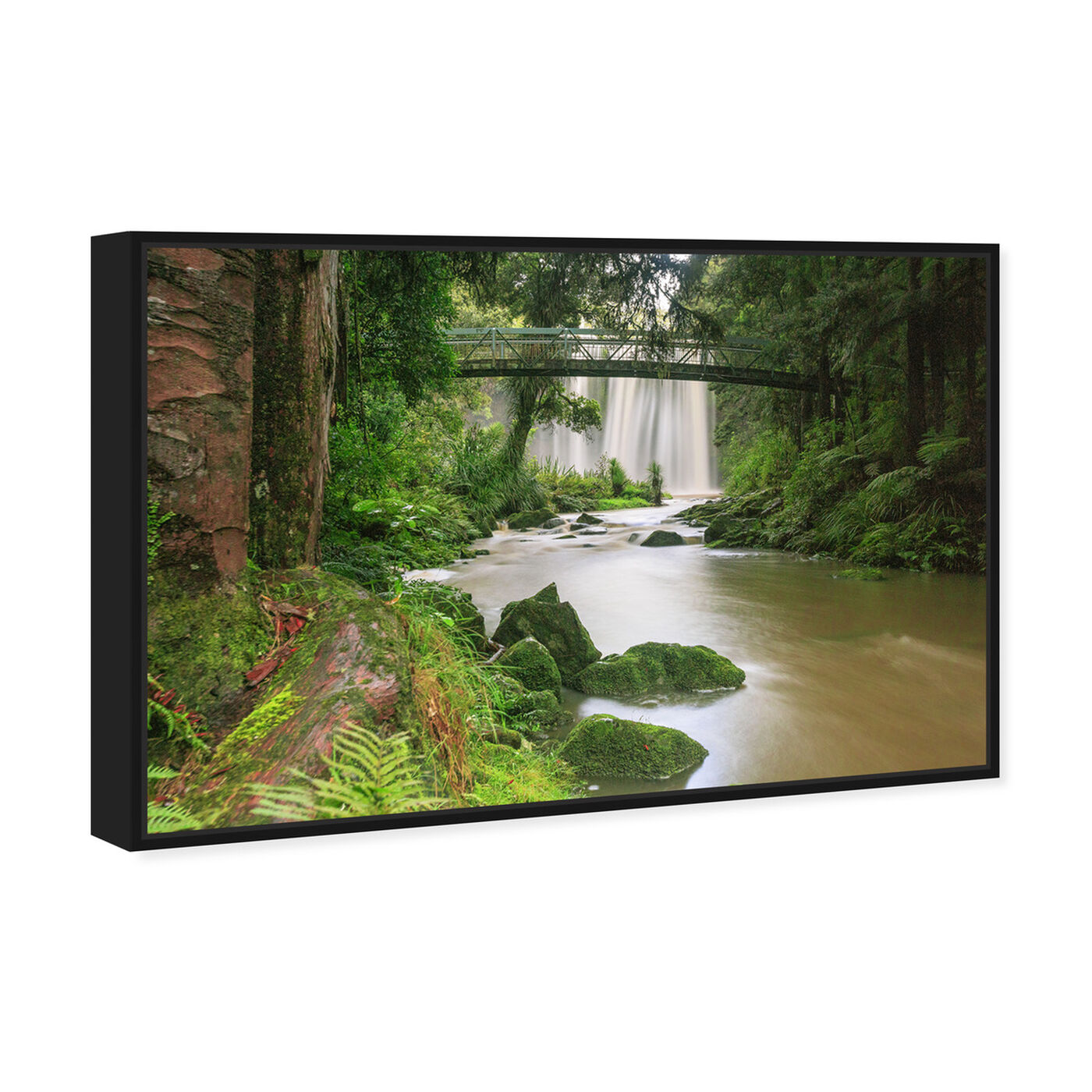 Angled view of Curro Cardenal - Rainforest III featuring nature and landscape and nature art.
