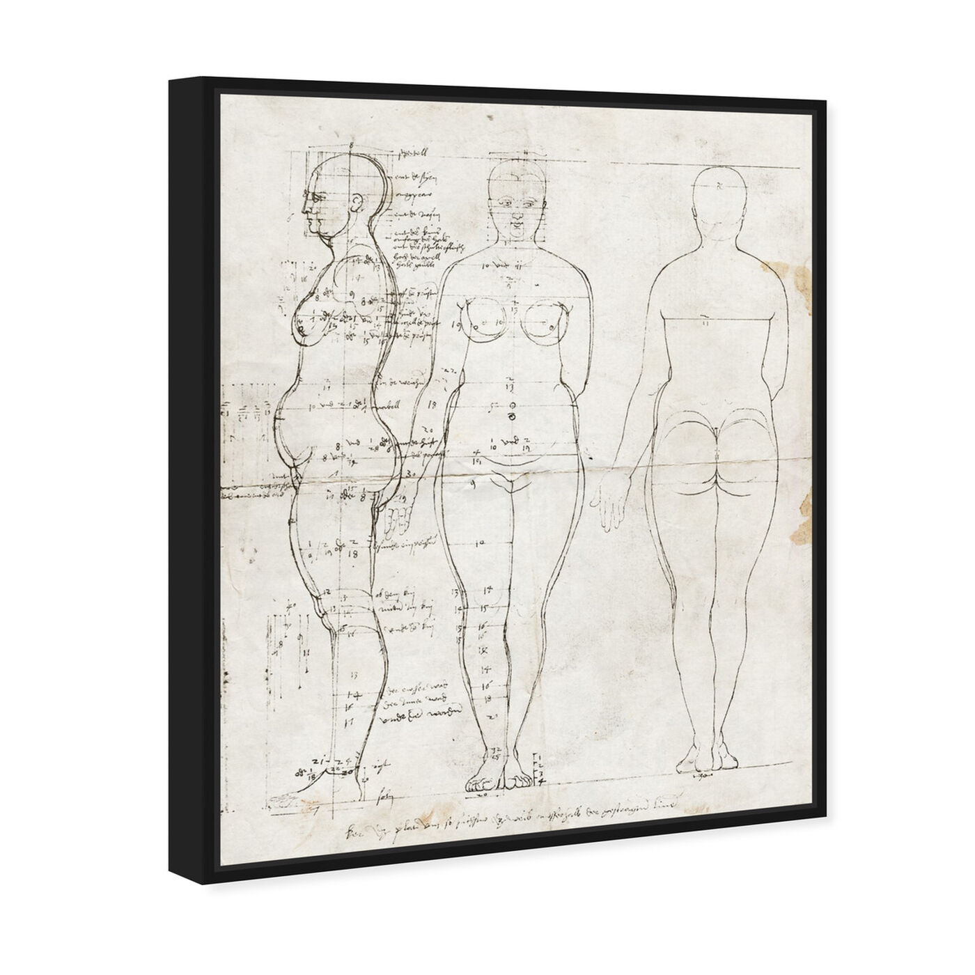 Angled view of Dürer Anatomical Engraving 1513 II featuring people and portraits and silhouettes art.