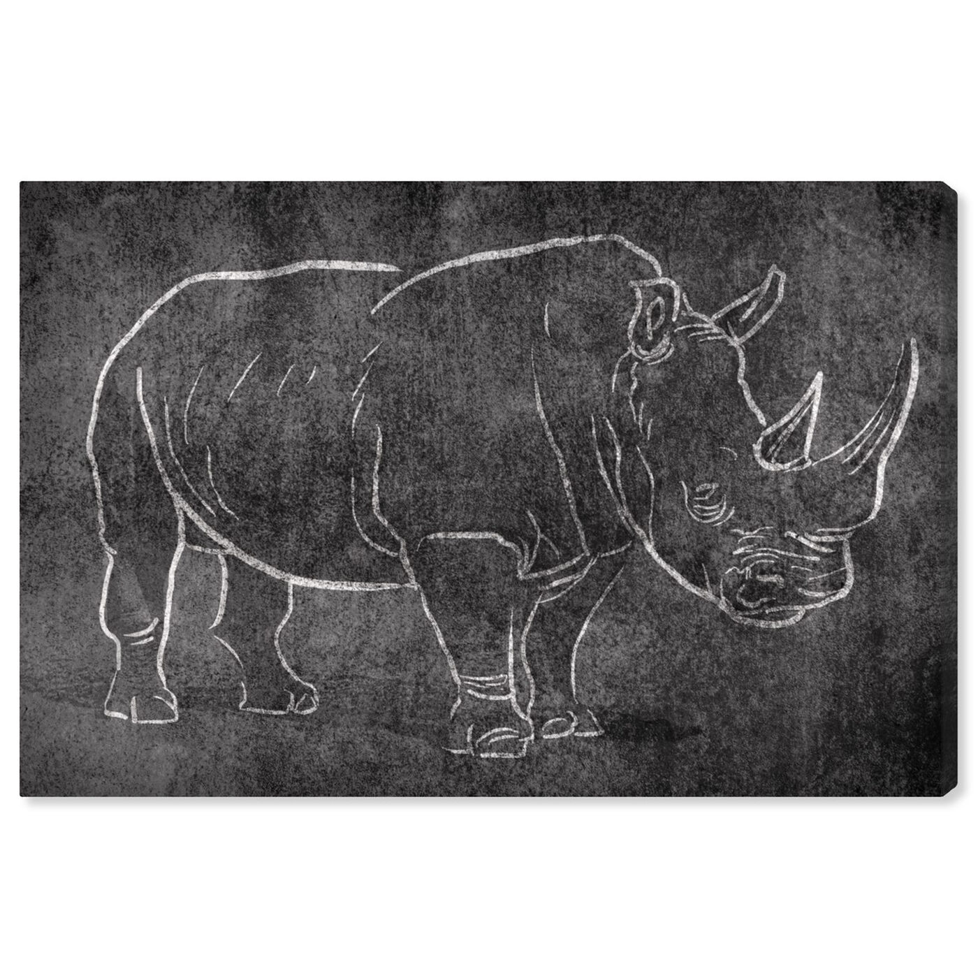 Front view of Chalk Rhino featuring animals and zoo and wild animals art.