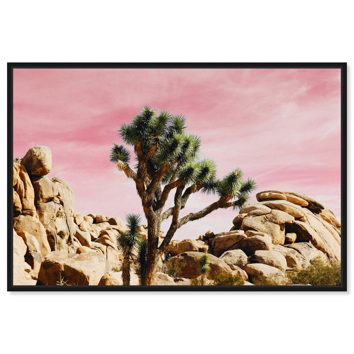 Front view of Joshua Tree Pink featuring nature and landscape and desert landscapes art.