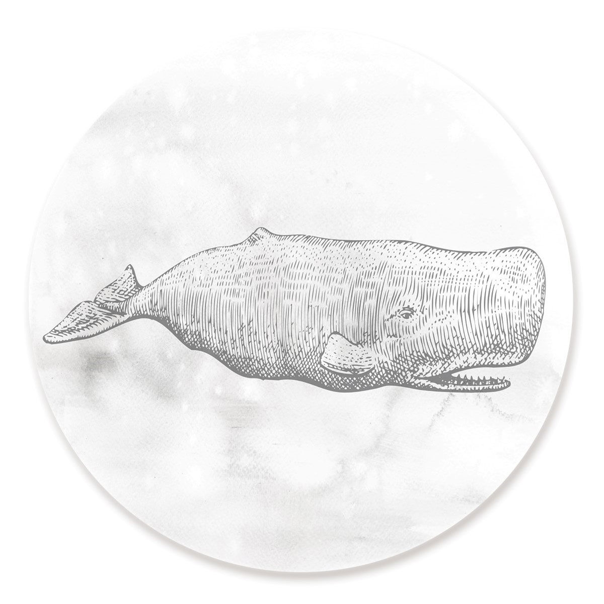 Whale Line Drawing Images | Free Photos, PNG Stickers, Wallpapers &  Backgrounds - rawpixel