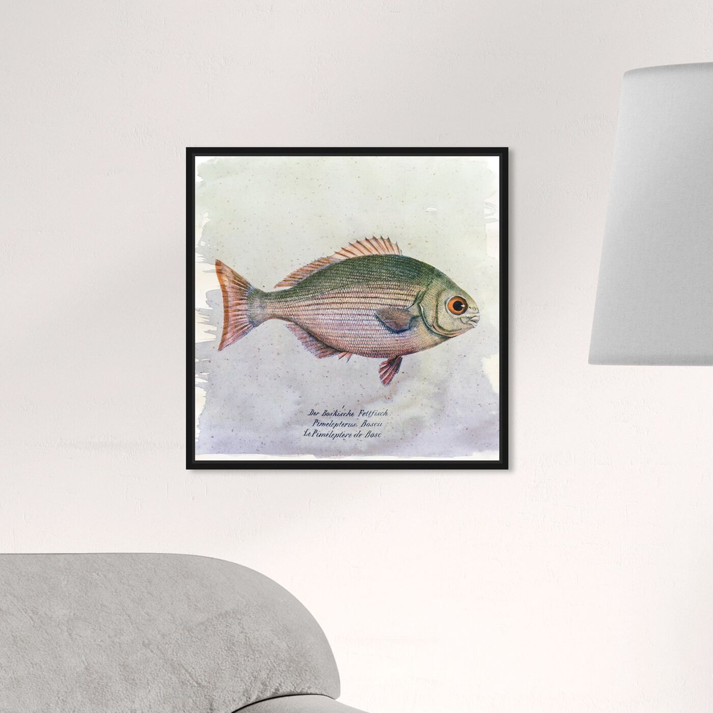 Hanging view of Bosc Fish featuring animals and sea animals art.