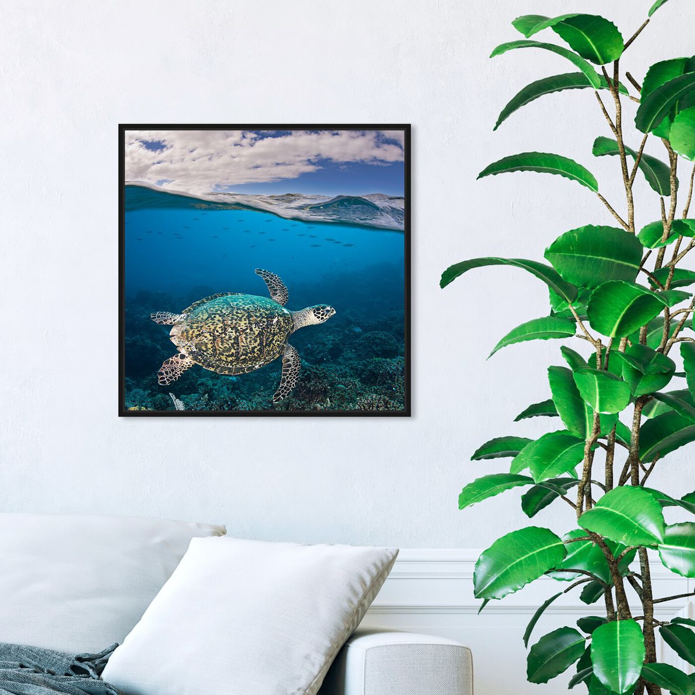 Hanging view of Hawksbill Turtle by David Fleetham featuring nautical and coastal and marine life art.