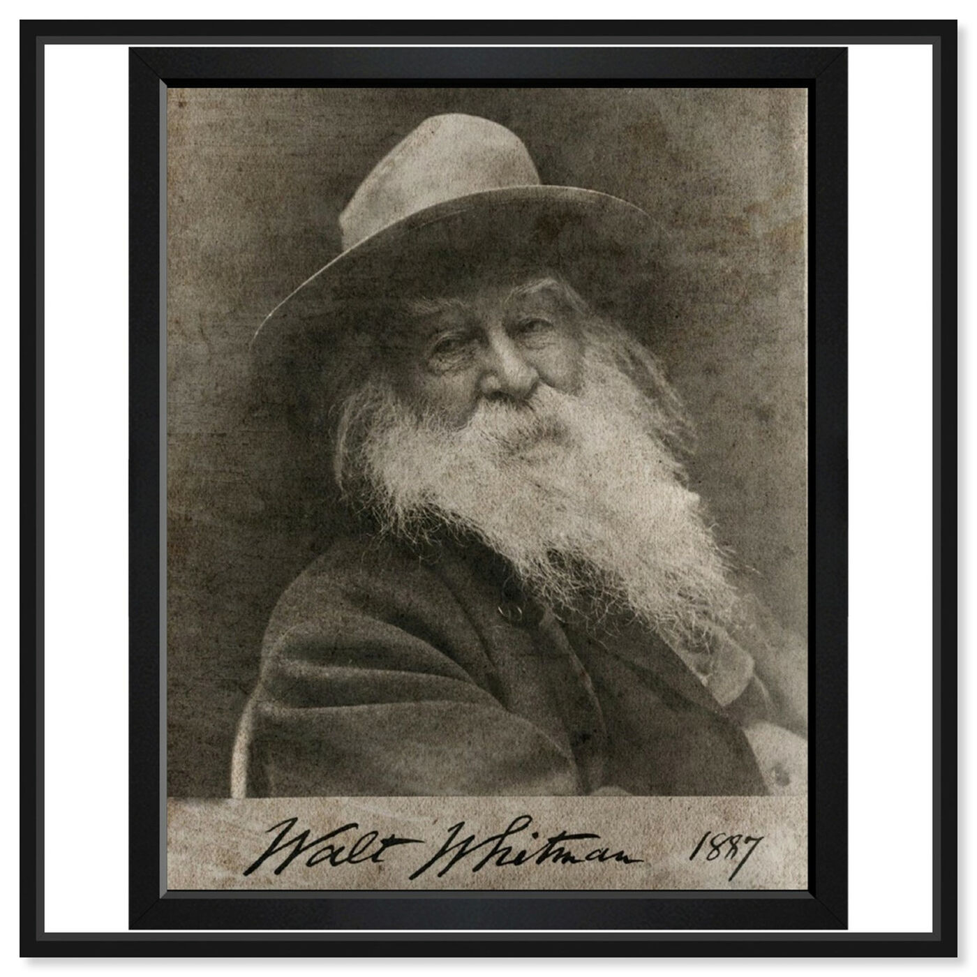 Front view of Walt Whitman featuring people and portraits and celebrities art.
