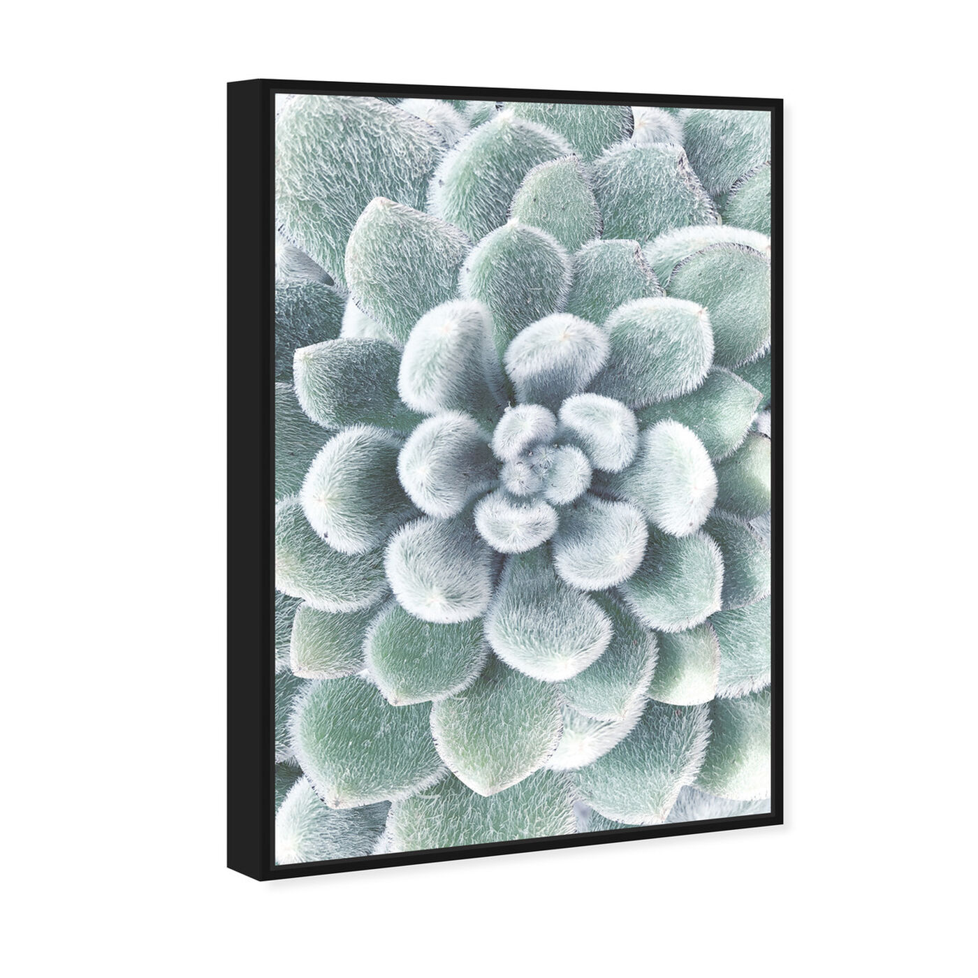 Angled view of Succulent Zoom IV featuring floral and botanical and botanicals art.