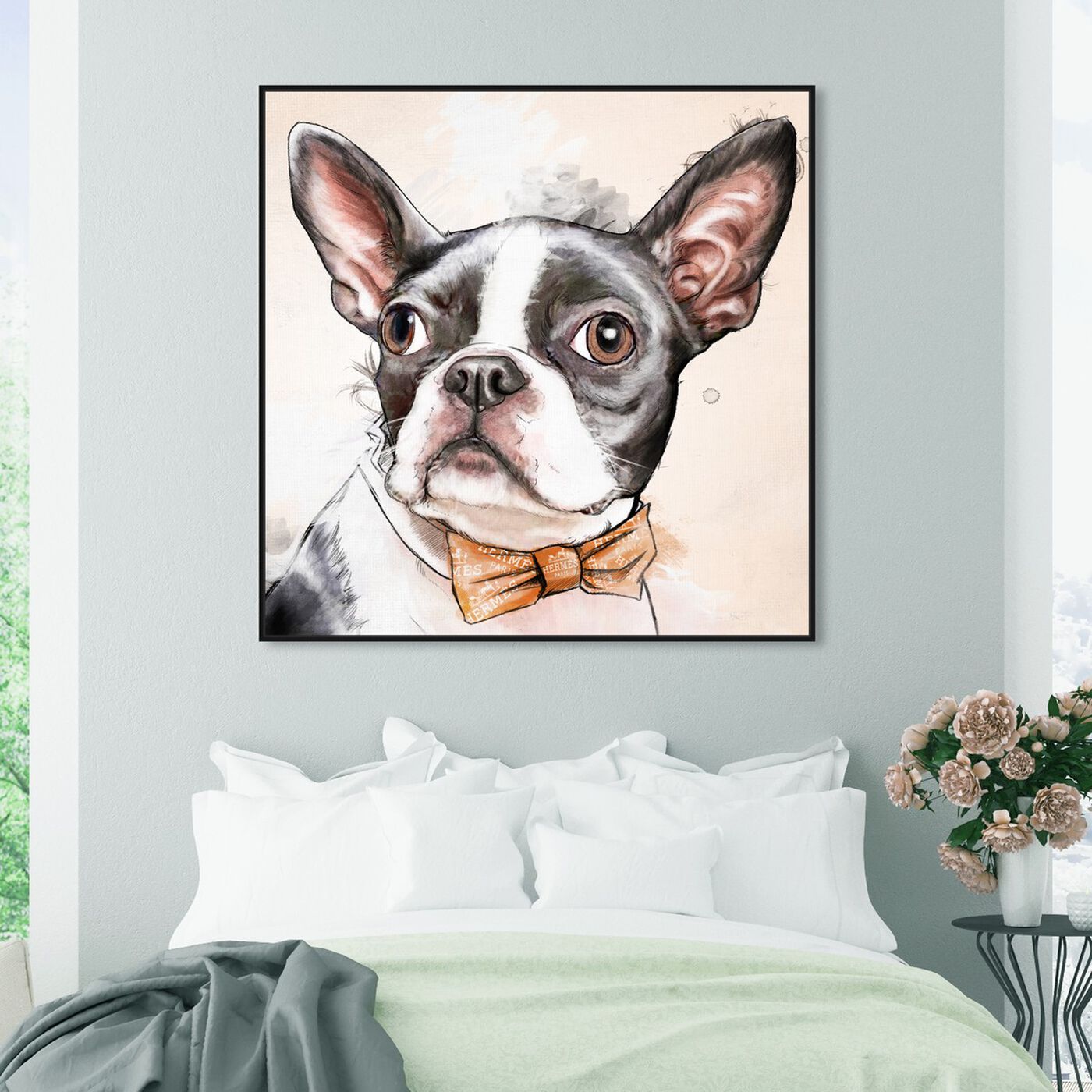 Hanging view of Boston Terrier Watercolor featuring animals and dogs and puppies art.