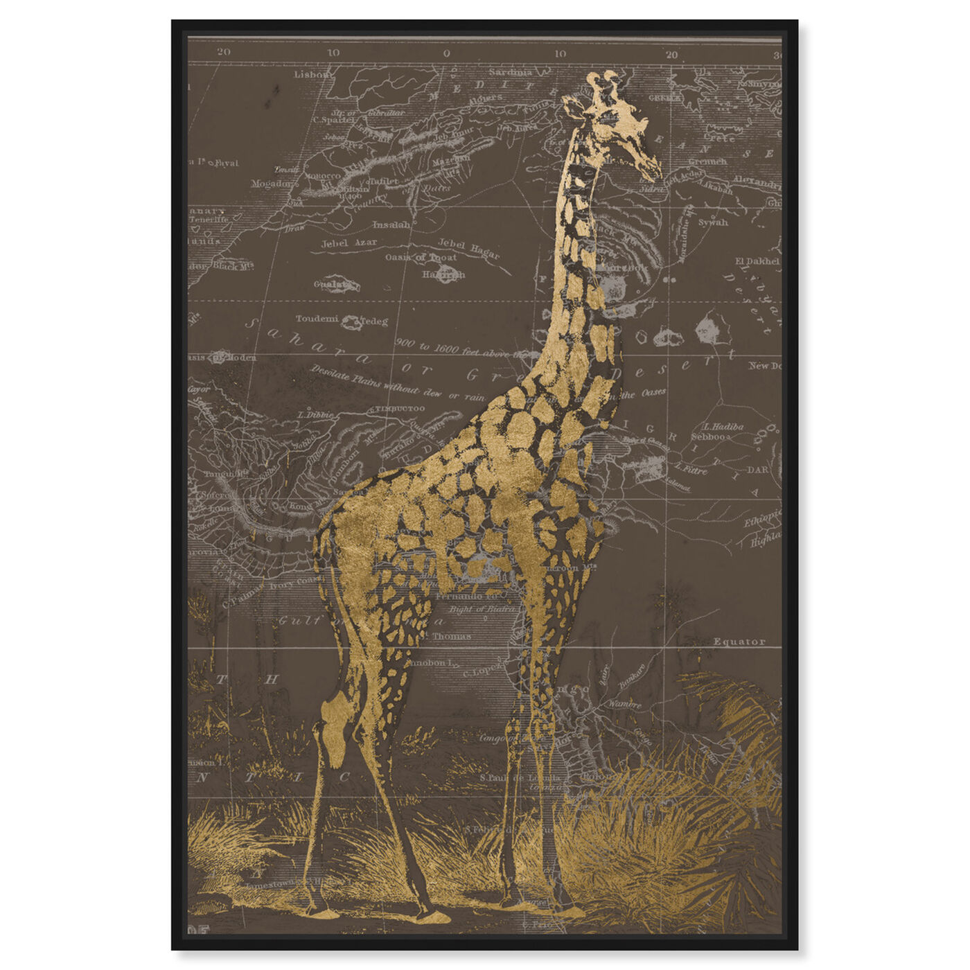 Front view of Giraffe Sahara featuring animals and zoo and wild animals art.