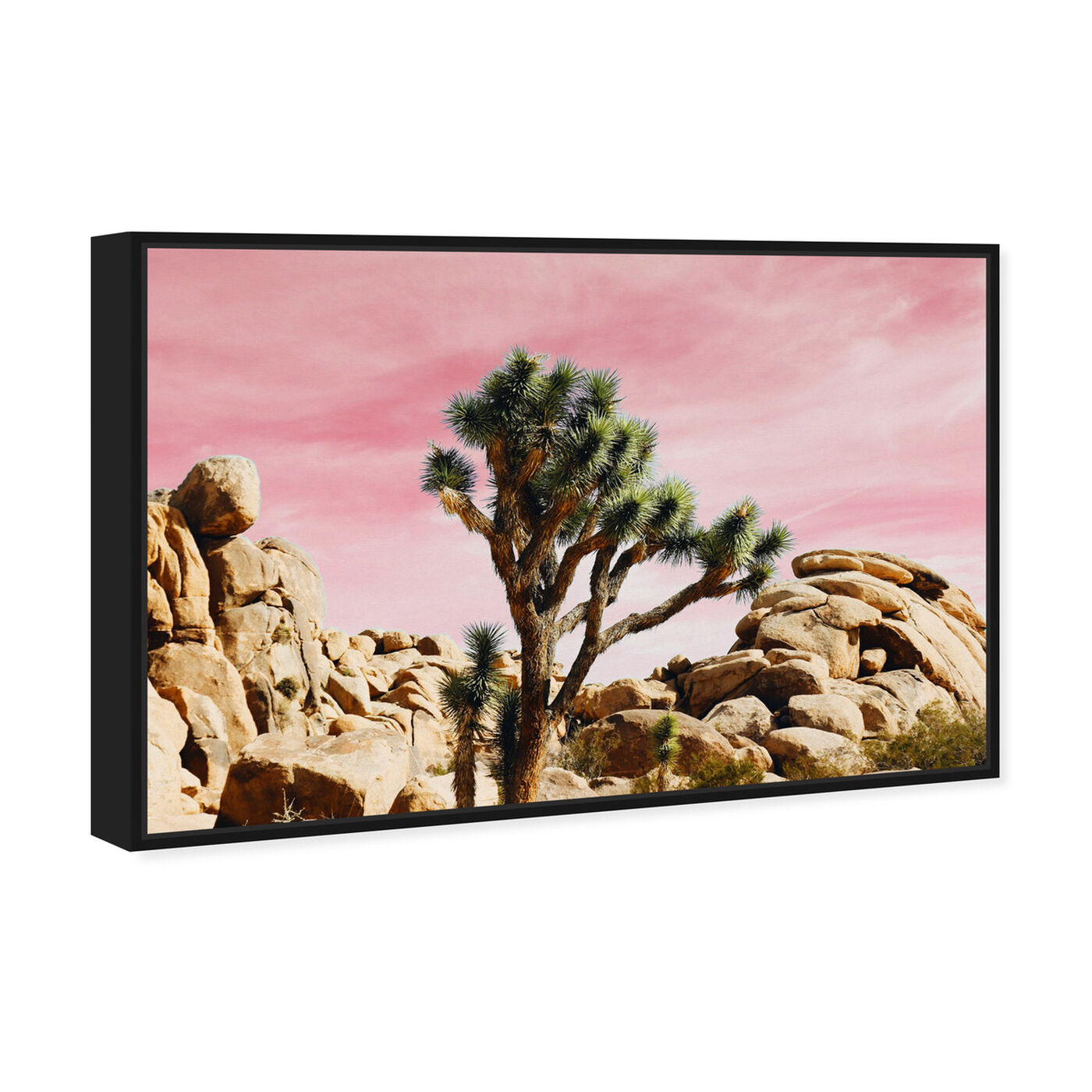 Joshua Tree Stickers - Ocotillo - Desert Apricot Mallow - Joshua Tree –  Coyote Brush Studios