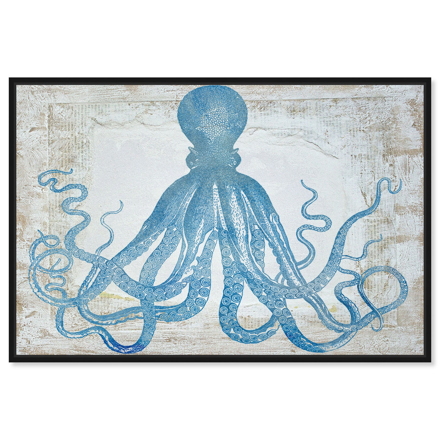 Front view of Squid Blue featuring nautical and coastal and marine life art.