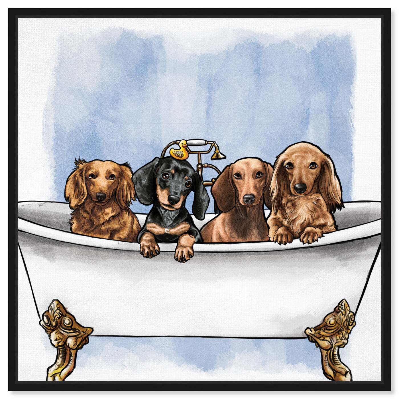Front view of Dachs in The Tub featuring animals and dogs and puppies art.