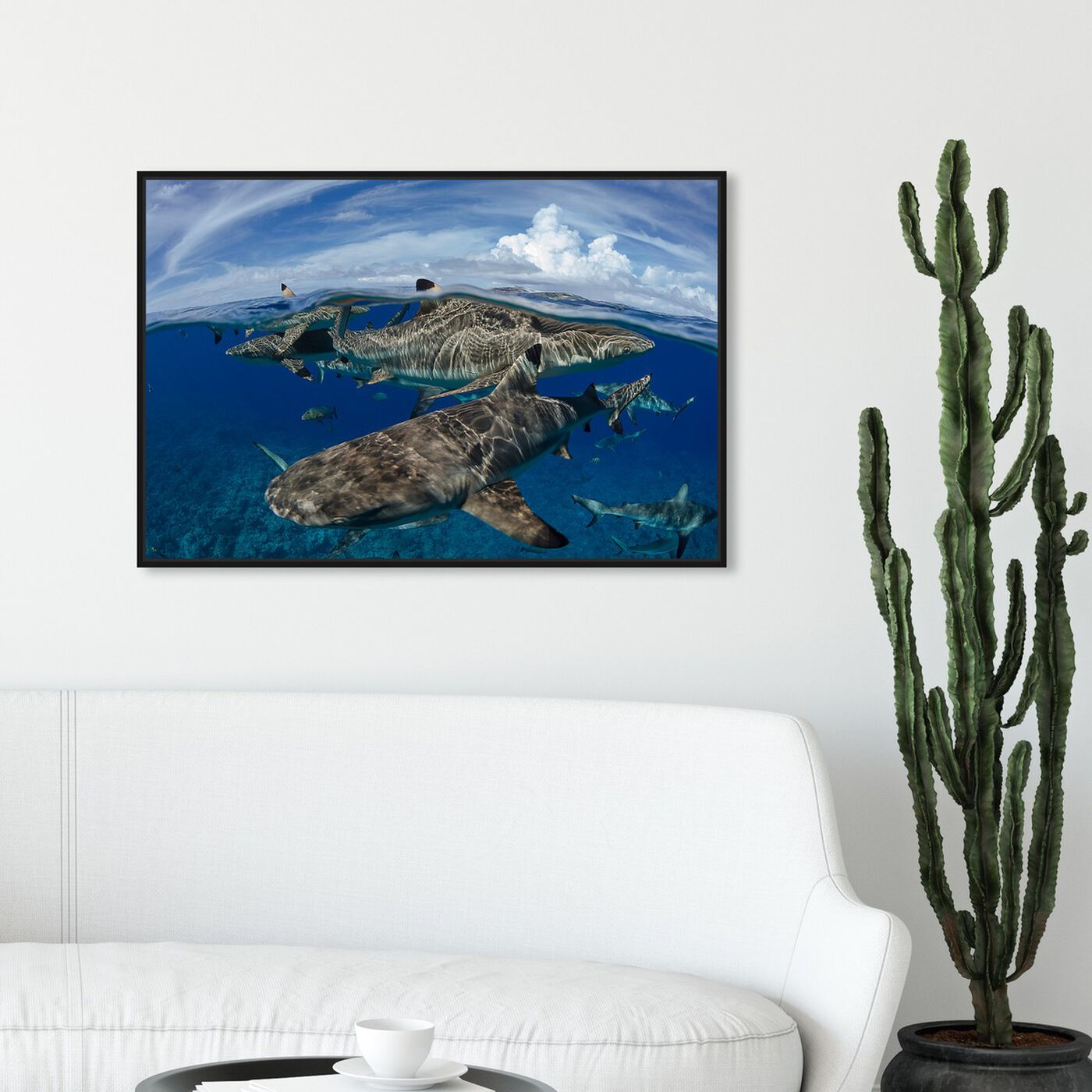 Hanging view of Blacktip Reef Sharks Close Up by David Fleetham featuring nautical and coastal and marine life art.