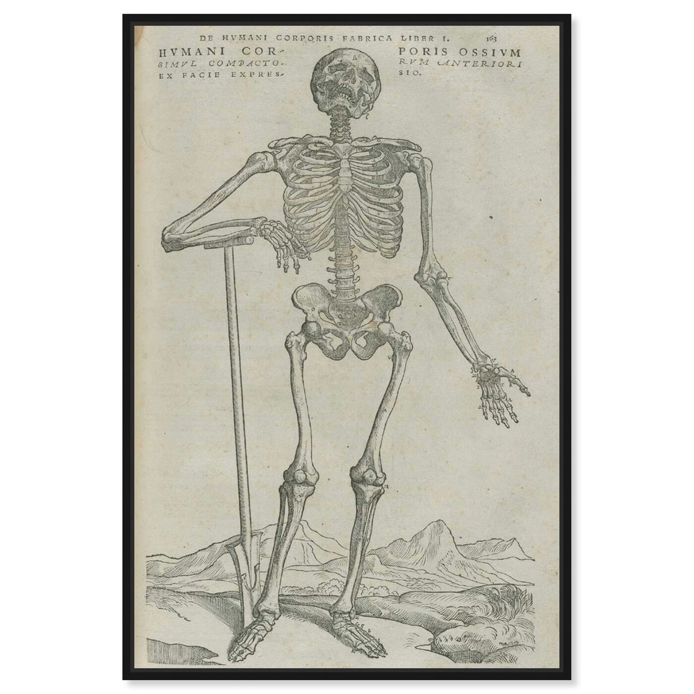 Front view of Vesalius VIII - The Art Cabinet featuring symbols and objects and skull art.