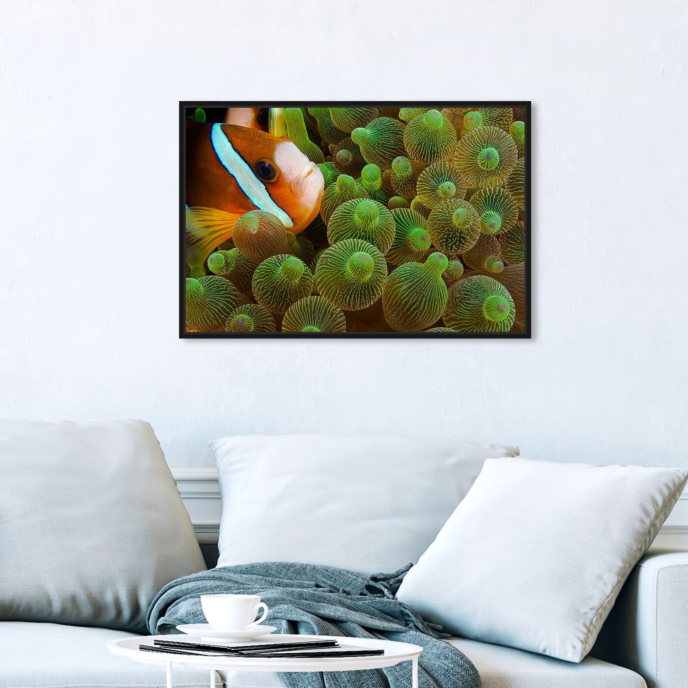 Hanging view of Clarks Anemonefish by David Fleetham featuring nautical and coastal and marine life art.