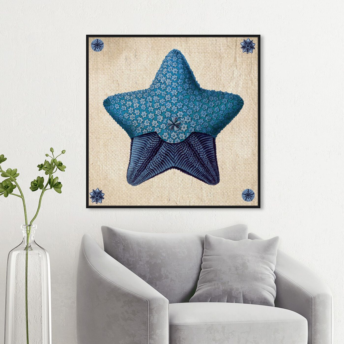 Hanging view of Asteridia III featuring nautical and coastal and marine life art.