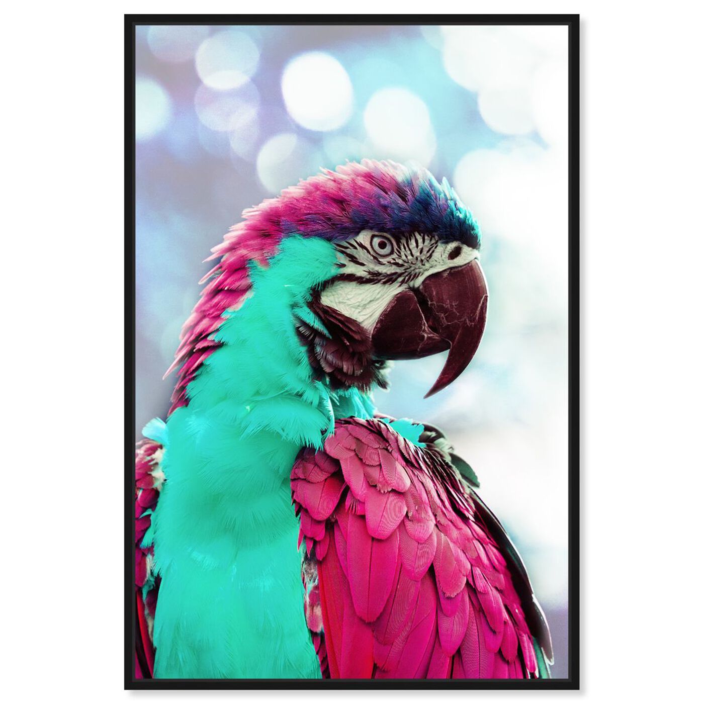 Front view of Pink Turquoise Macaw featuring animals and birds art.