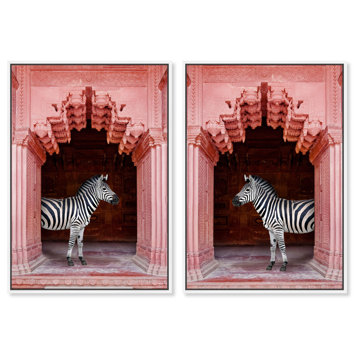 Front view of Zebras Apartment is Coral Pink Set featuring animals and zoo and wild animals art.
