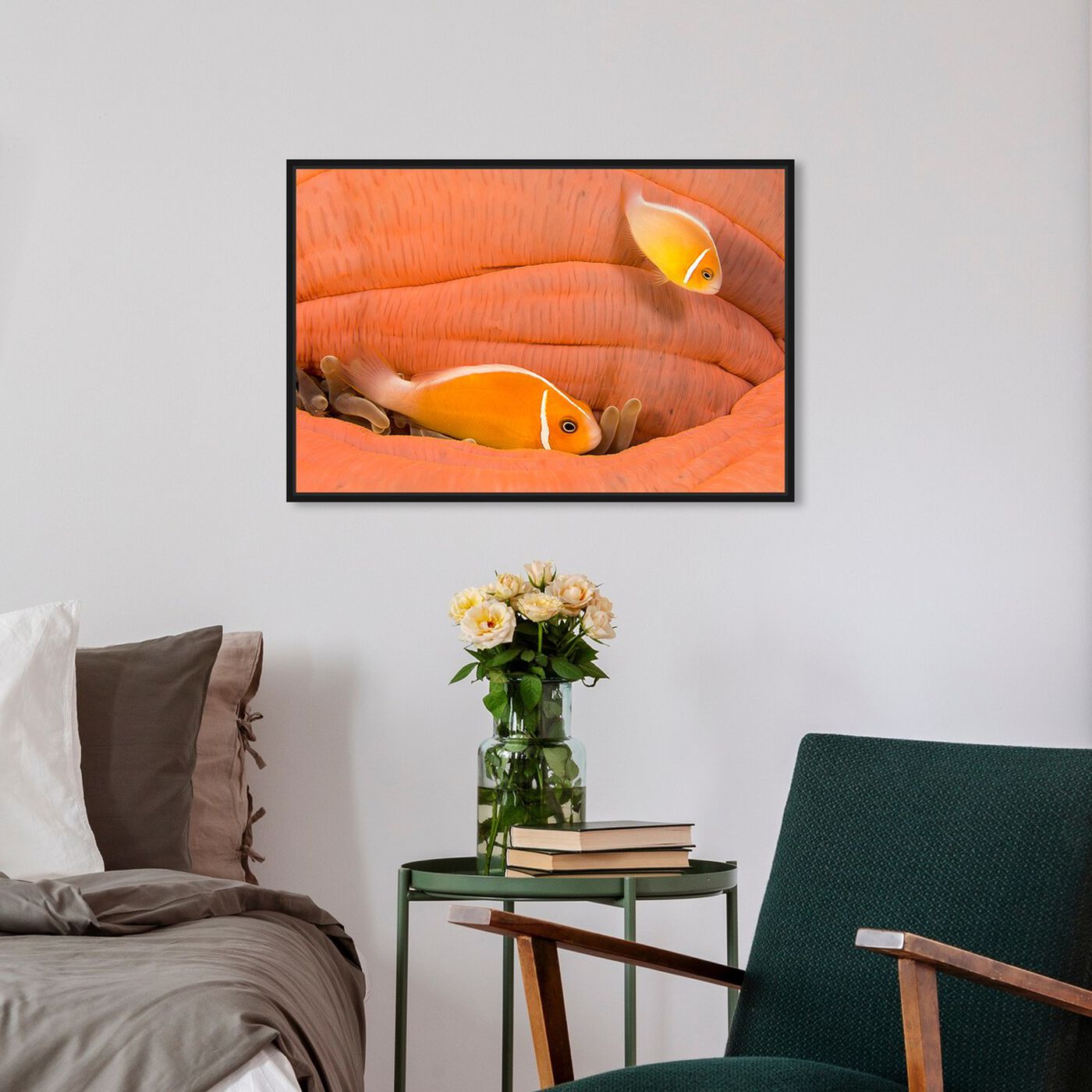 Hanging view of Peach Anemonefish by David Fleetham featuring nautical and coastal and marine life art.